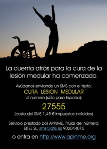 Octavilla SMS Solidario APINME